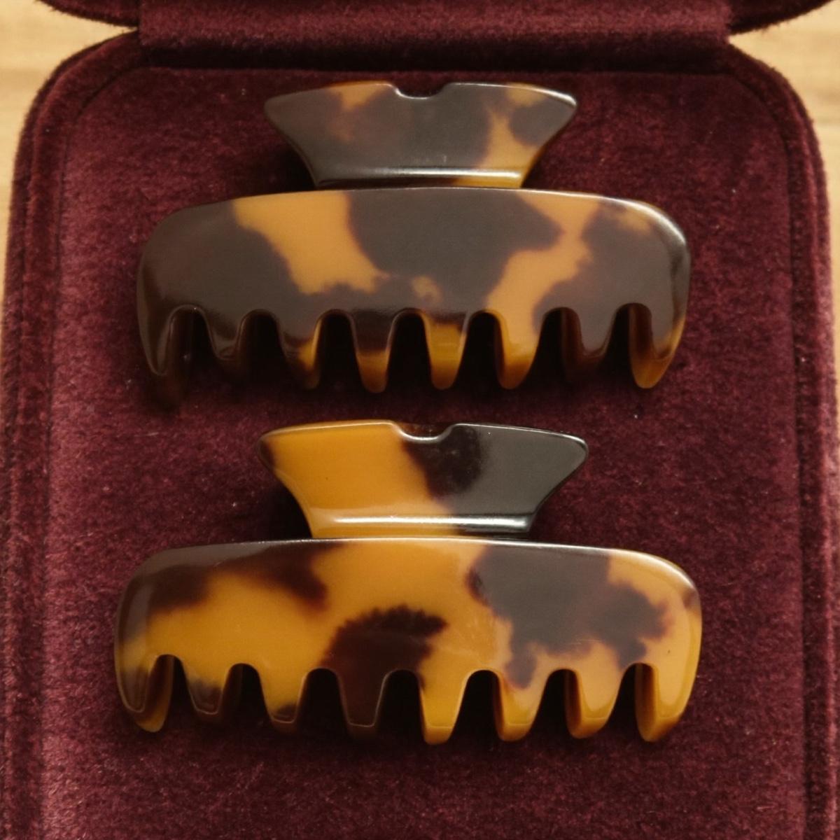 A pair of tortoiseshell hair clips.